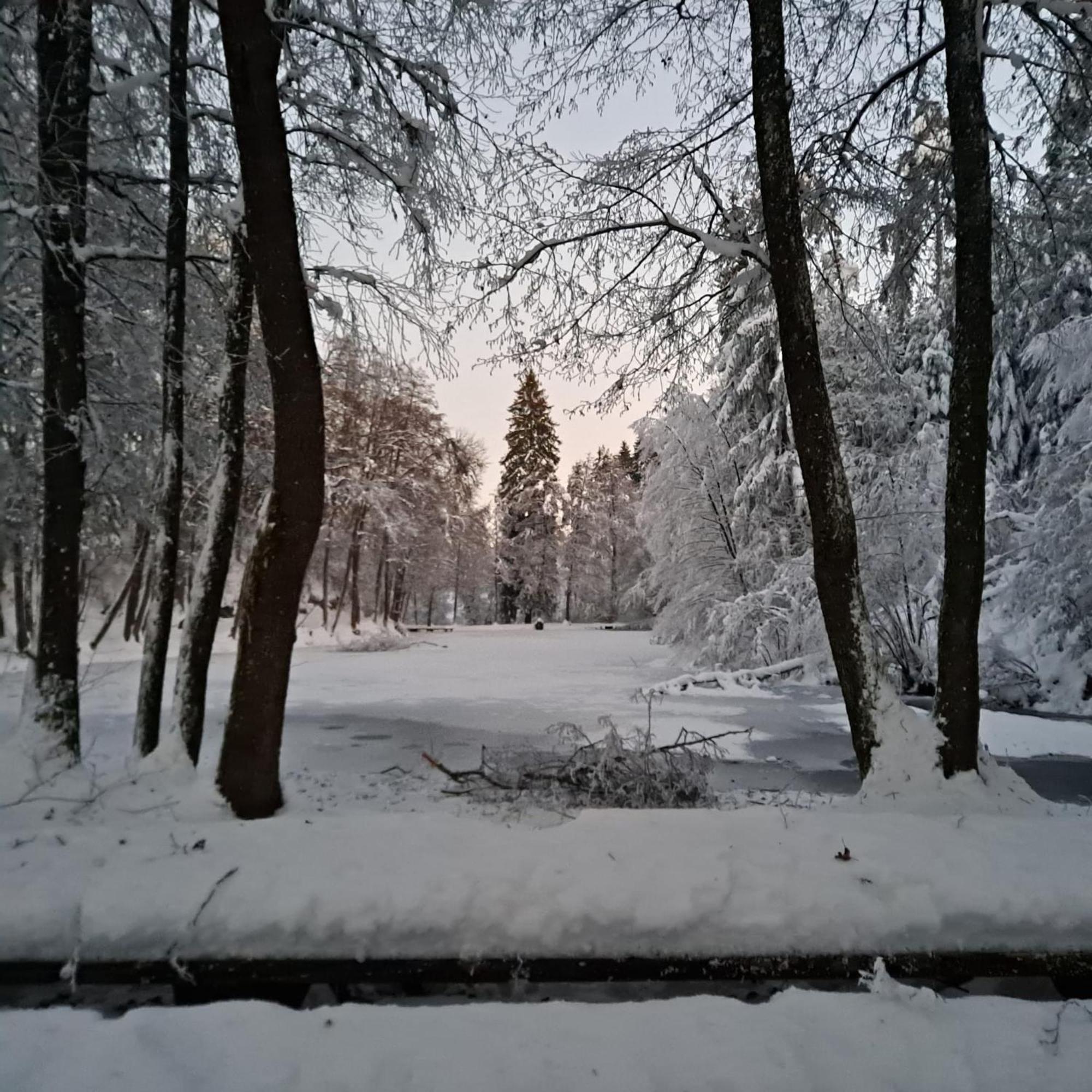 Ferienwohnung Ottmanach Josefhof Pischeldorf エクステリア 写真