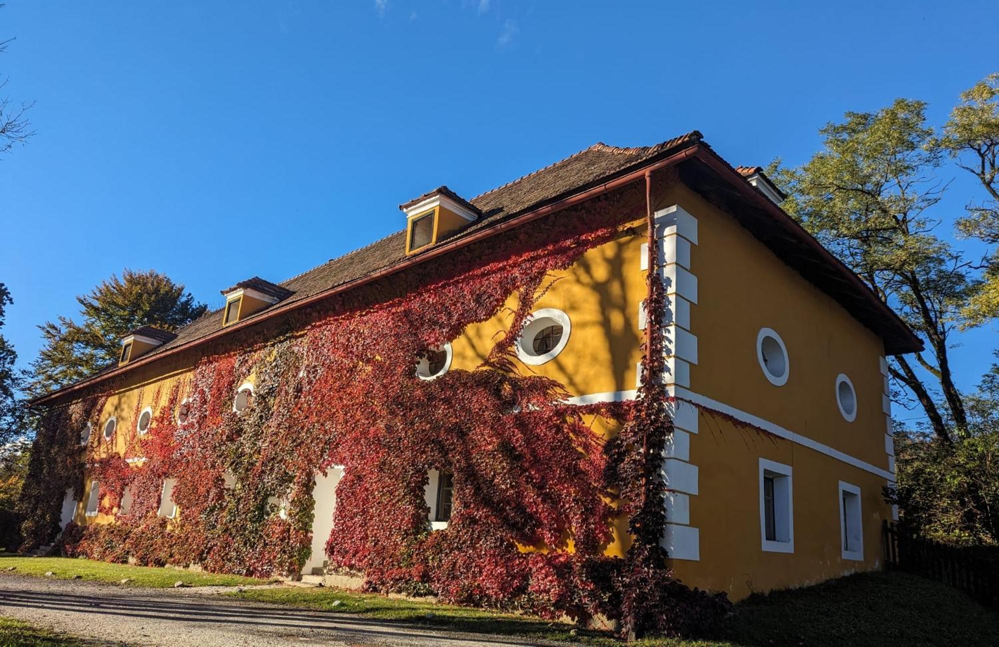Ferienwohnung Ottmanach Josefhof Pischeldorf エクステリア 写真